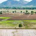 Agricultural Land Near Nagpur For Farming And Land Ownership