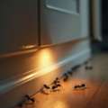 Pest Control In London For Homes & Businesses