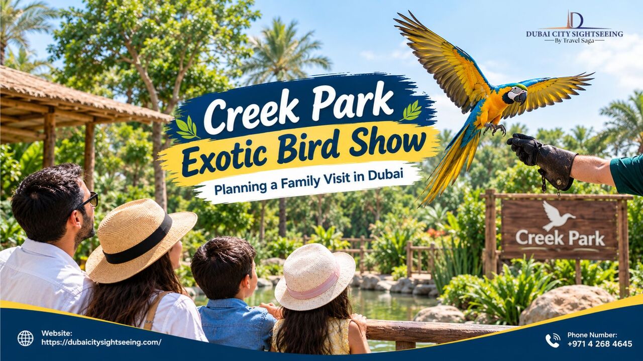 Dubai, Travel, Creek Park Exotic Bird Show &ndash; Planning A Family Visit In Dubai