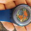 SAR 240,  Swatch Watch For Men Original Swiss Made 240 SR