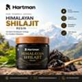 Shilajit Resin Manufacturing Solutions