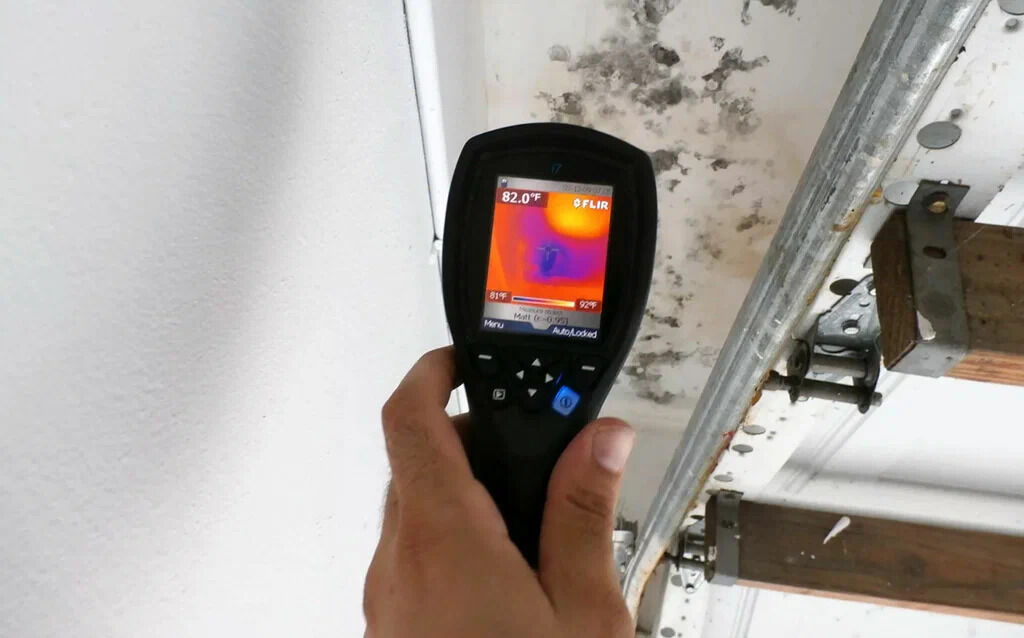 Dallas, Cleaning, Professional Home Care With Mold Inspection And Remediation Near Me Lewiston