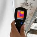 Professional Home Care With Mold Inspection And Remediation Near Me Lewiston
