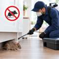 Mice Exterminator Lafayette, IN: Rodent Control Tips