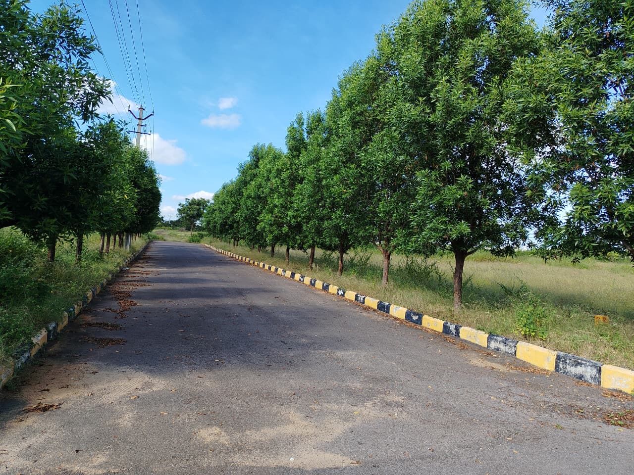 Hyderabad, Residential Plots, INR 13000,  183 Sq. Yard,  DTCP & RERA  APPROVED Open Plots For Sale @ Yacharam
