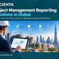 Monitor Real Estate Projects With Clear Performance Reports