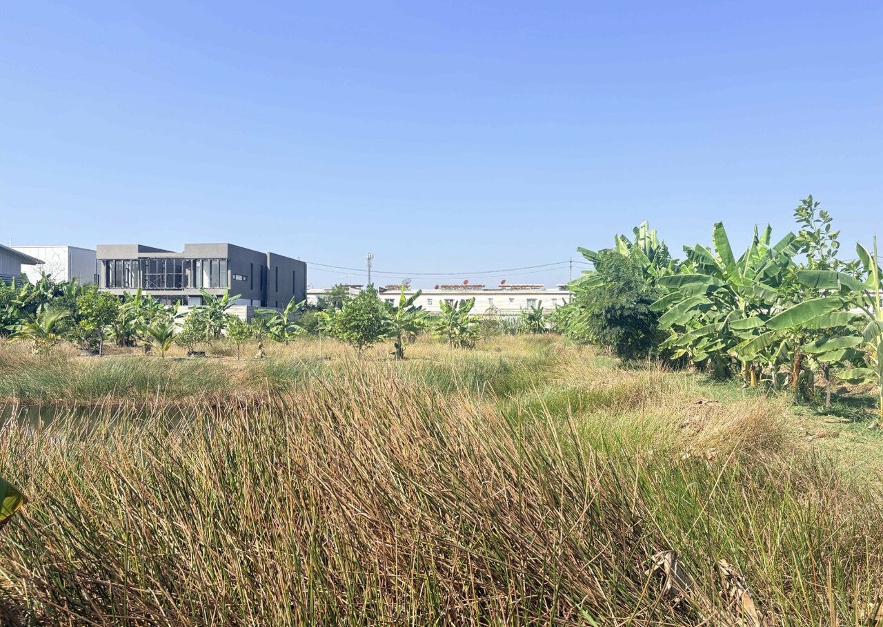 Bangkok, Real Estate For Sale, THB 48000000,  6 BR,  800 Sq. Feet,  ขายที่ดินเปล่า 2 ไร่ ทำเลดี เทิดราช
