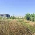 THB 48000000,  6 BR,  800 Sq. Feet,  ขายที่ดินเปล่า 2 ไร่ ทำเลดี เทิดราช