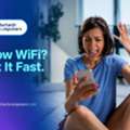 IT Services For Companies In Chandigarh