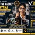 Detective Agency In Haryana &ndash; The Venus Detective