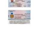 Gardener | Plant Cutting | Shajar Guss | Mali