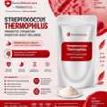 Probiotic Quality Issues? Choose A Streptococcus Thermophilus Manufacturer &ndash; Call Today!
