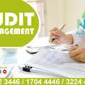 AUDIT MANAGEMENT