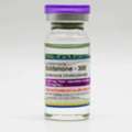 Muscle Building Supplements For Men