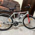 SAR 480,  Adult Bicycle For Sale  In Excellent Condition,
