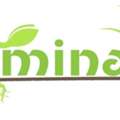 Germinator Steel Packages In Iowa