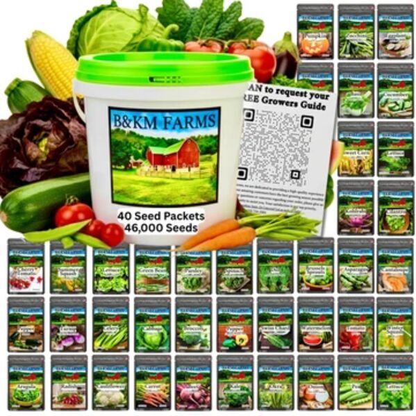 New York, Business, Vegetable Garden Seeds | Broccoli, Corn & Heirloom Seeds
