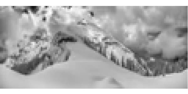 New York, Appliances, USD 2350,  Corbett Ridgway Wall Art | Limited To 200 Editions