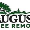 AUGUSTA TREE REMOVAL