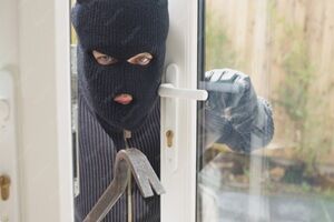New York, Job Seekers, Arizona Burglary