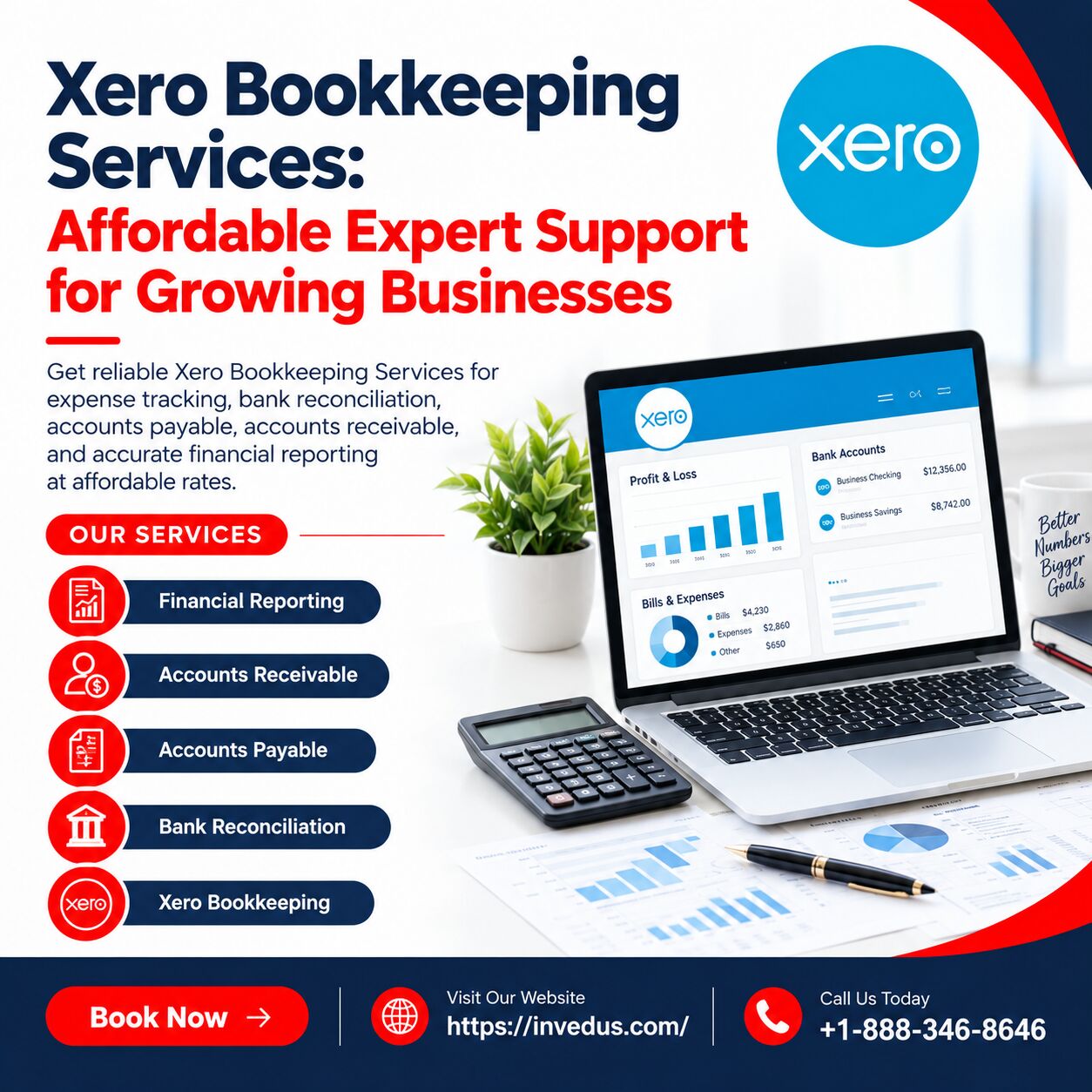 New York, Financial, Professional Xero Bookkeeping Services To Simplify Business Finances