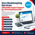 Professional Xero Bookkeeping Services To Simplify Business Finances