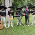Traditional Mexican Music And Professional Mariachi Vocal Training