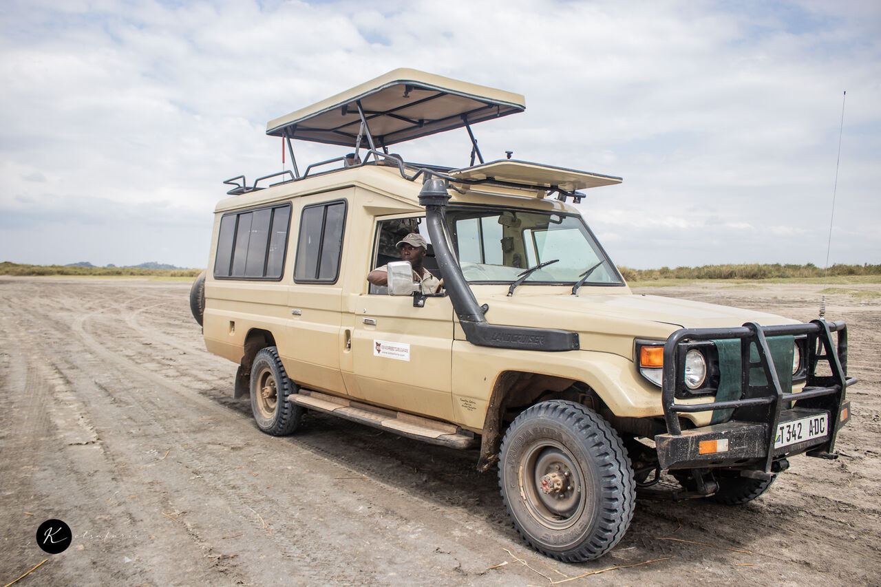 Chicago, Travel, Kenya Big Five Safari | Masai Mara Packages From $1,050 | Ketsafaris