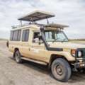 Kenya Big Five Safari | Masai Mara Packages From $1,050 | Ketsafaris