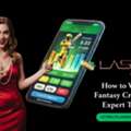 Laser247 &ndash; Online Sports Platform, Mobile Access And Gaming Guide 2026