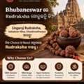 Real Rudraksha Shop In Cuttack