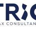 Excise Tax Consultants In Dubai