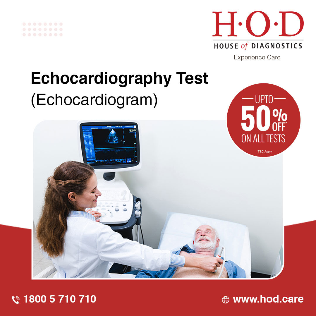 New Delhi, Health, 2D Echo Test Cost And Factors That Affect Scan Pricing