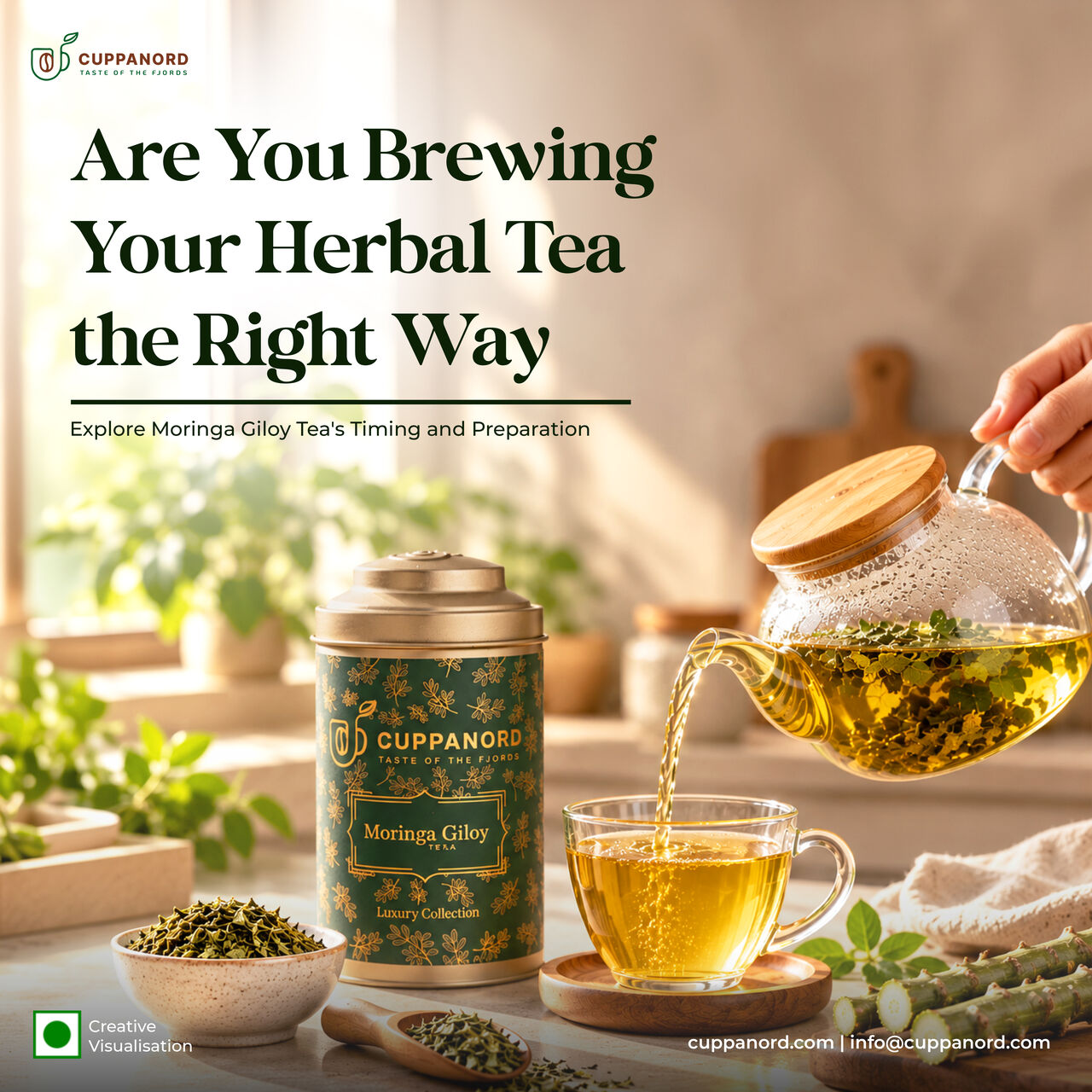 Noida, Business, How To Drink Moringa Giloy Tea: A Simple Guide | Cuppanord