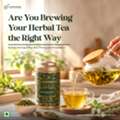 How To Drink Moringa Giloy Tea: A Simple Guide | Cuppanord