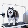 Upgrade Your Dog Kennel With Lightweight And Abrasion-Resistant Vinyl Panels