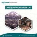 Enjoy Bountiful Harvests With Premium Chinese Shiitake Logs