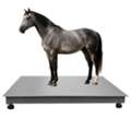 UGX 6000000,  Heavy Duty Digital Floor Scale Uganda