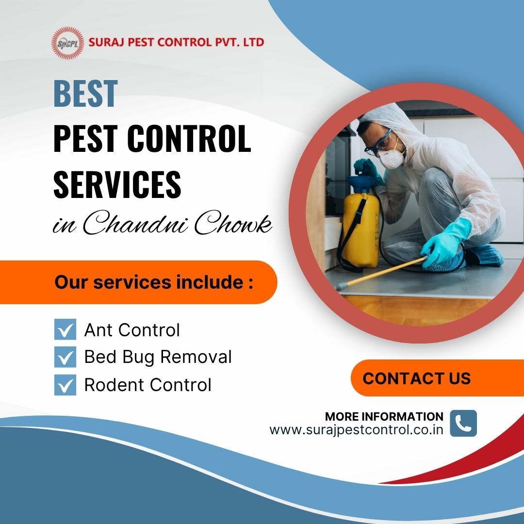 New Delhi, Pest Control, Best Pest Control Services In Chandni Chowk For Homes & Offices