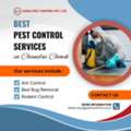 Best Pest Control Services In Chandni Chowk For Homes & Offices