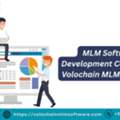 Looking For An MLM Software Development Company? Choose Volochain