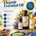 Buy Organic Essential Oil In Bulk | Moksha Lifestyle