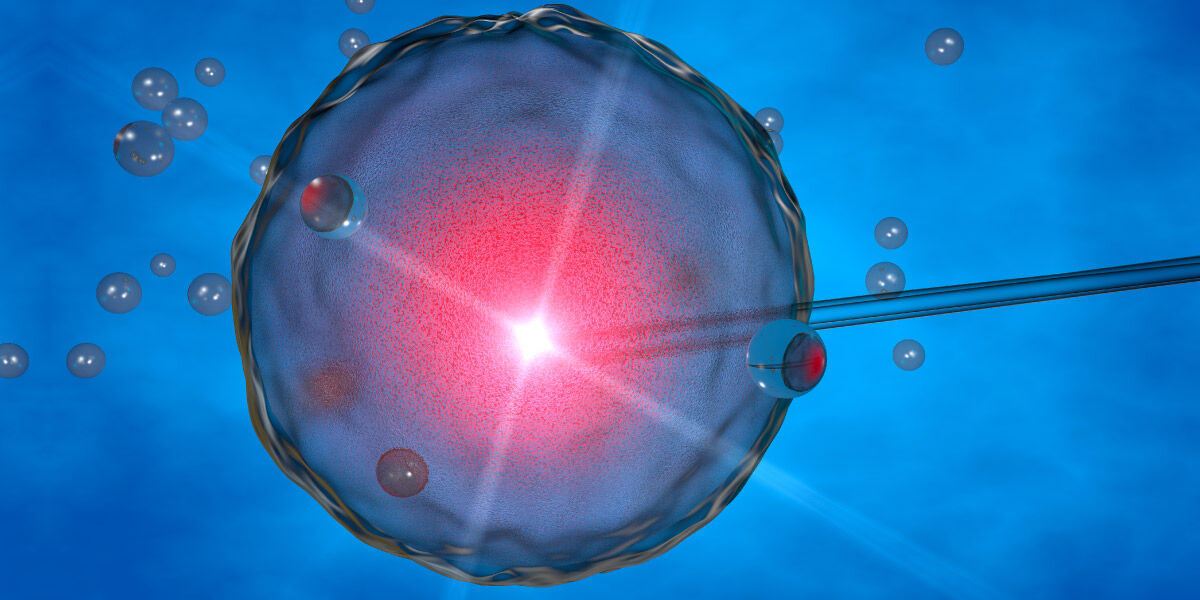 New Delhi, Health, Explore Donor IVF Programme In Delhi At Fertylity IVF