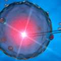 Explore Donor IVF Programme In Delhi At Fertylity IVF