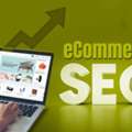 Ecommerce Seo Expert For Stronger Search Visibility