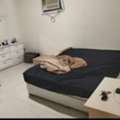 SAR 1600/month,  Furnished,  479 Sq. Meter,  Room For Rent Available Here In Dhahrat Laban