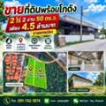 THB 4500000,  6 BR,  1050 Sq. Feet,  ขายที่ดินพร้อมโกดัง 2 ไร่กว่า ติดถ