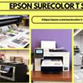 From Precise Epson Surecolor T Series, You Can Expect All-round Printing Solutions