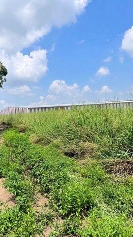 Bangkok, Real Estate For Sale, THB 1500000,  6 BR,  432 Sq. Feet,  ขายด่วน ที่ดินสวย เนื้อที่ 1 ไร่ 32 ตร.