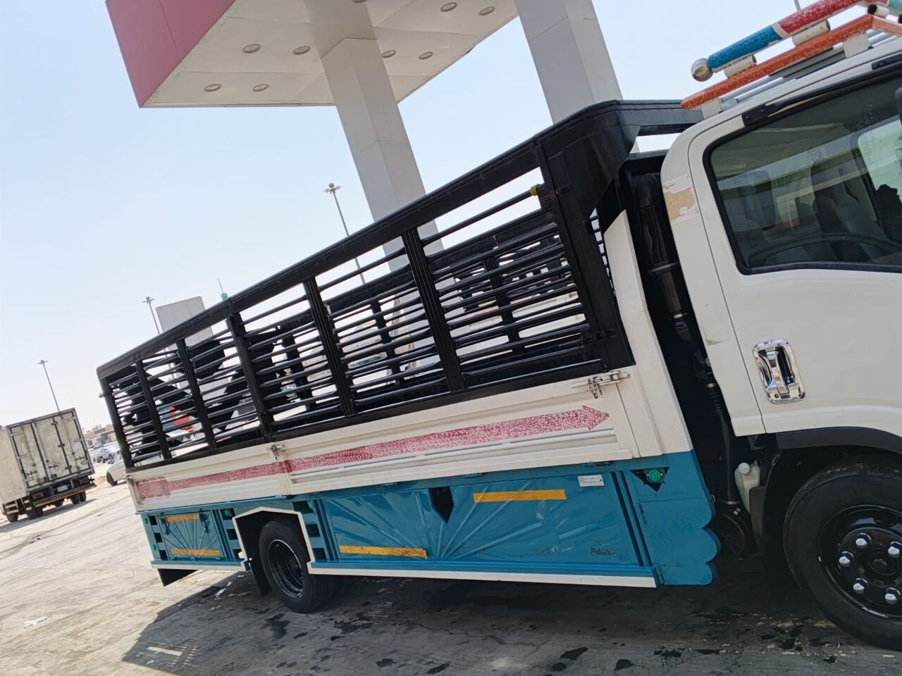 Jubail, Cargo, Isuzu Dyna (6-Meter Cargo Truck) Available For Rent With Loading & Unloading Services